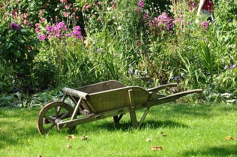 jardin, verdure, brouette